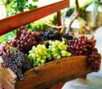 Những Điều Tuyệt Vời Từ Quả Nho Phan Rang